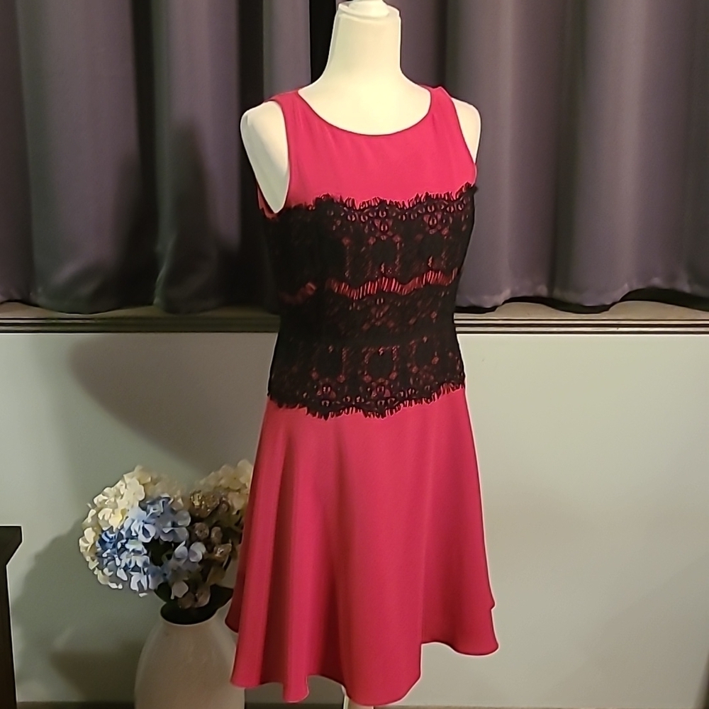 Loft NWT Pink Sleeveless Lace Bodice Dress - Size 4